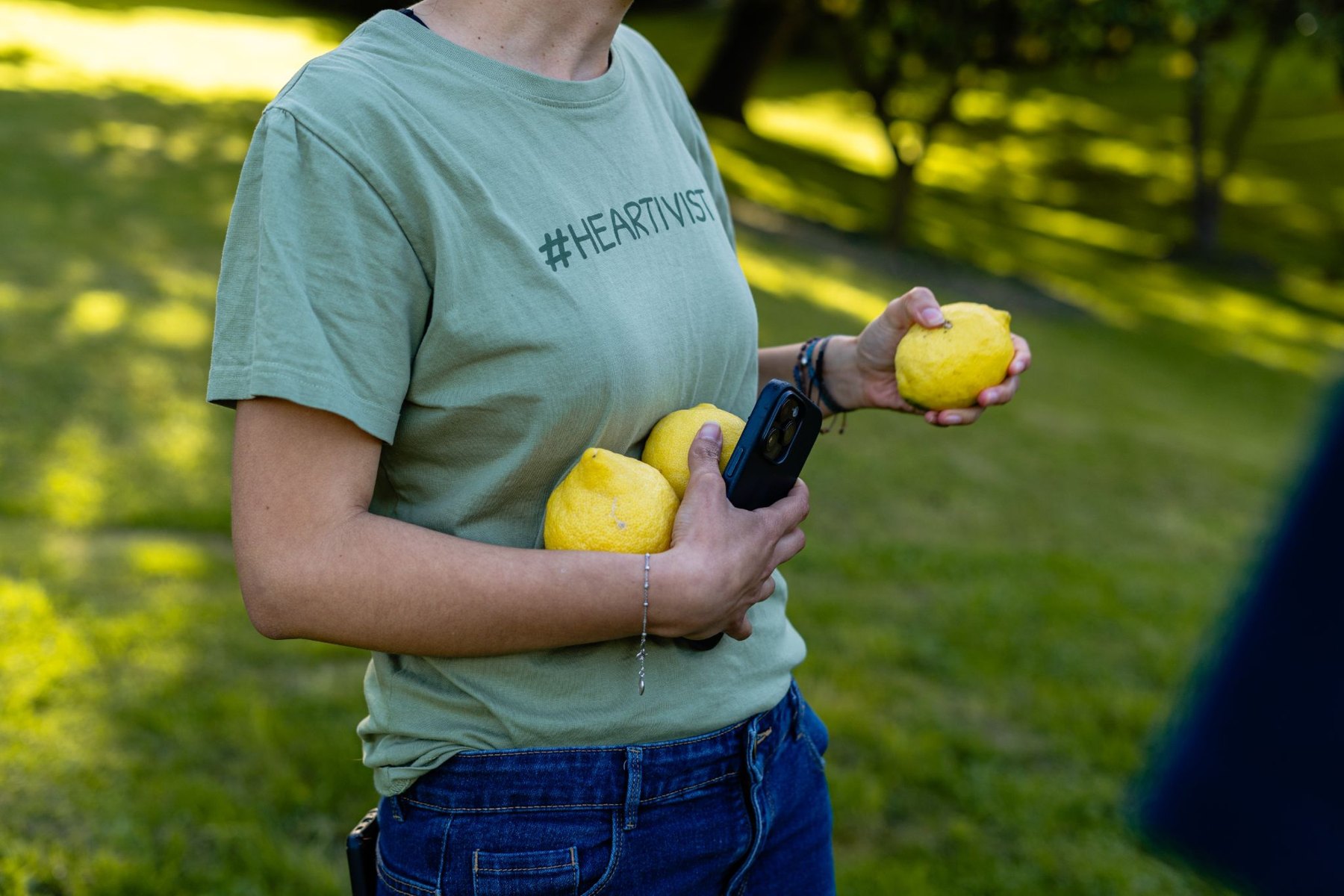 Persona sosteniendo limones recogidos como regalo