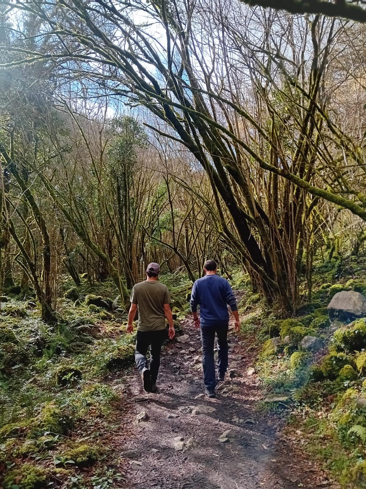 Dos personas caminando por un sendero del bosque